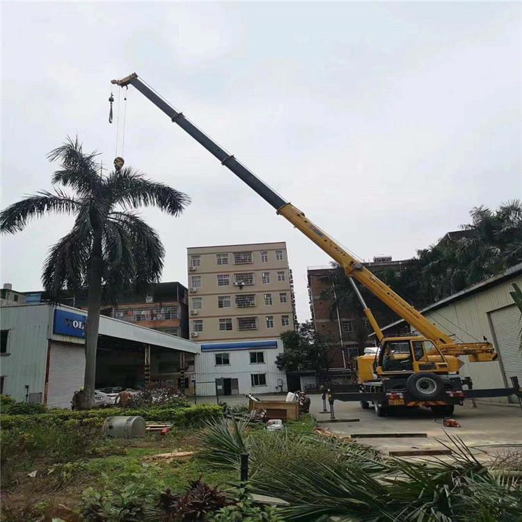 德庆汽车吊出租多少钱？全面解析与市场行情